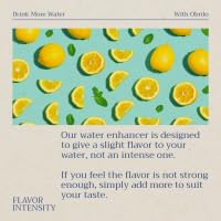 Obrilo Performance Energy Dye Free Water Enhancer - L-Theanine + Taurine + Vitamin Complex + Ginseng + Guarana Seed, 2.0 Fl. Oz. x 2 Bottles (Electric Lemonade)