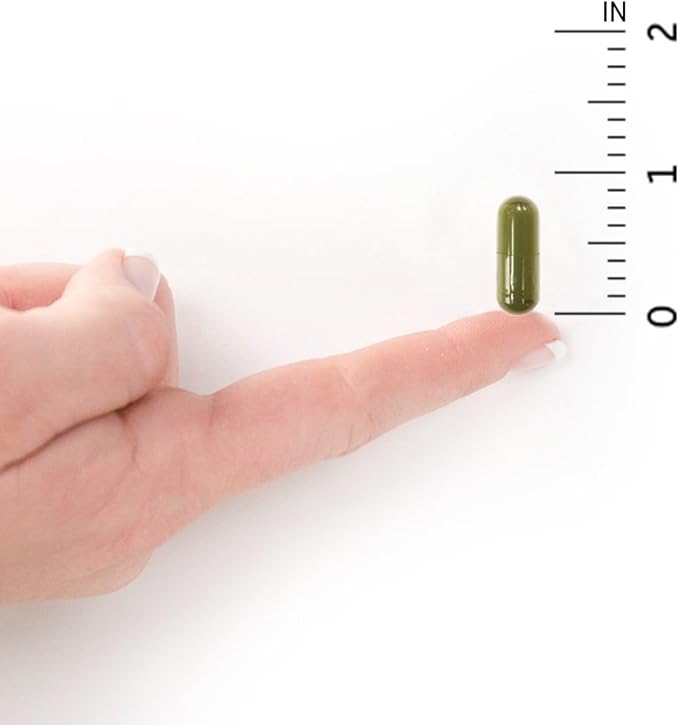 Garden of Life Vitamin D, Vitamin Code Raw D3, Vitamin D 2,000 IU, Raw Whole Food D3 Supplements with Chlorella, Fruit, Veggies & Probiotics for Bone & Immune Health, 120 Vegetarian Capsules