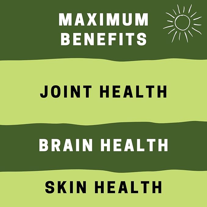 Vegan Fish Oil Alternative - Award Winning Omega 3, DHA, EPA and GLA Supplement - Plant Based Omegas - 4X Better Than Flax, Chia & Hemp - Contains GLA not Found in Algae - 90 Vegan softgels