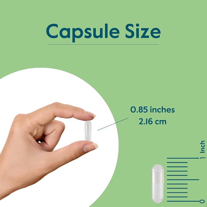 BESTVITE Vitamin B-2 (Riboflavin) 400mg (240 Vegetarian Capsules) (120 x 2) - High Potency – Energy, Skin & Cellular Health – Healthy Nervous System Support – Vegan – Gluten Free - No Stearates