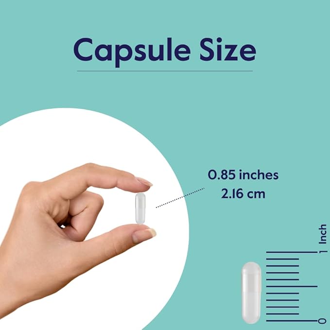 BESTVITE Benfotiamine 300mg (240 Vegetarian Capsules) No Stearates - No Silicon Dioxide - Vegan - Non GMO - Gluten Free