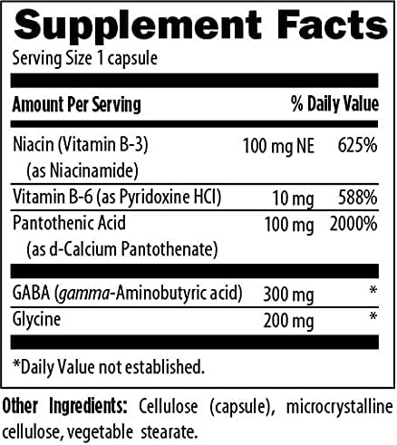 Designs for Health StressArrest - 300mg GABA with Glycine, Pantothenic Acid + Niacinamide (Vitamin B3) to Promote a Calm Stress Response - Non-GMO Gluten Free Supplement (90 Capsules)