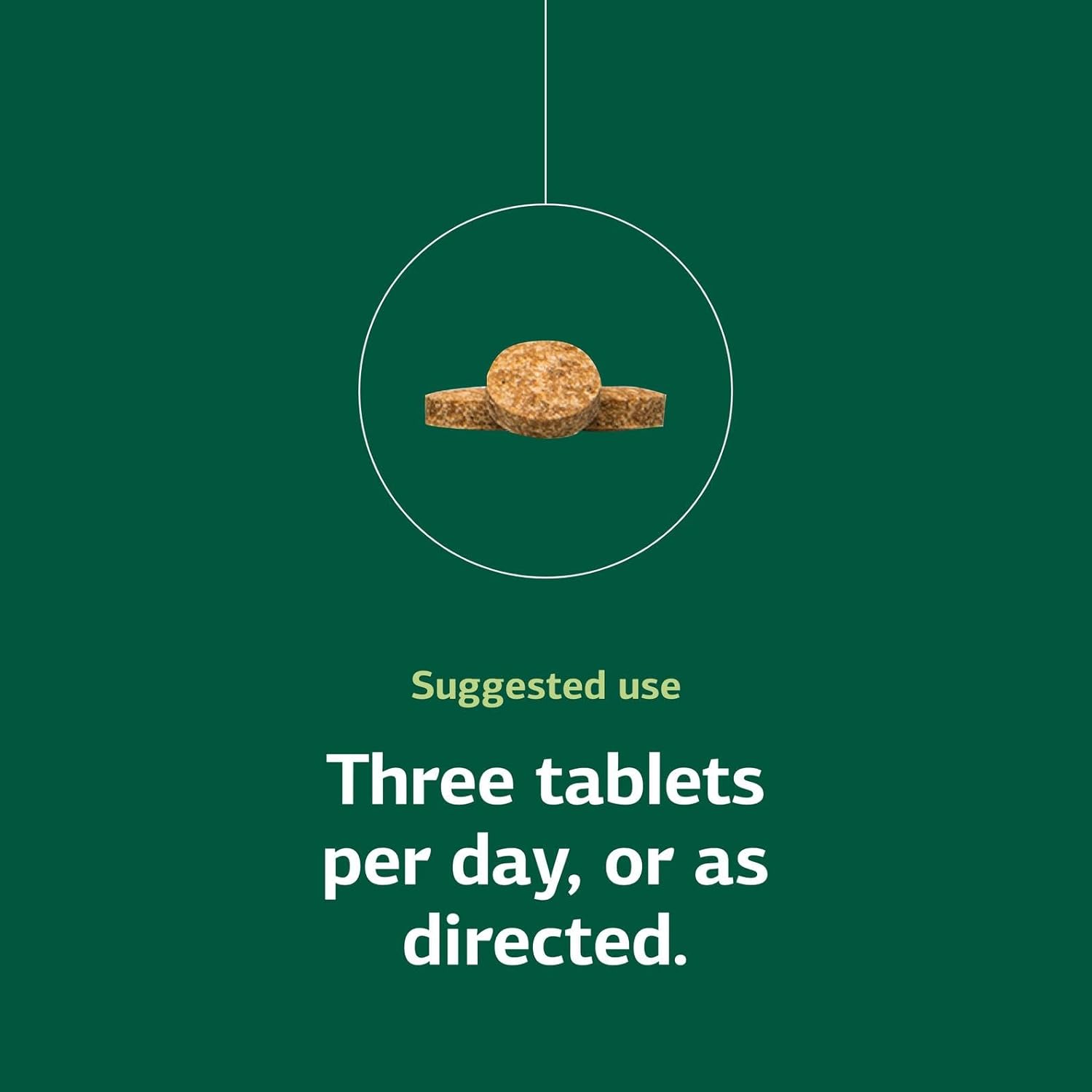 Standard Process Inc. Catalyn - Whole-Food Based Foundational Support for General Wellbeing with Vitamins D, C, A & B6, Thiamine, Riboflavin, Magnesium Citrate - 360 Tablets