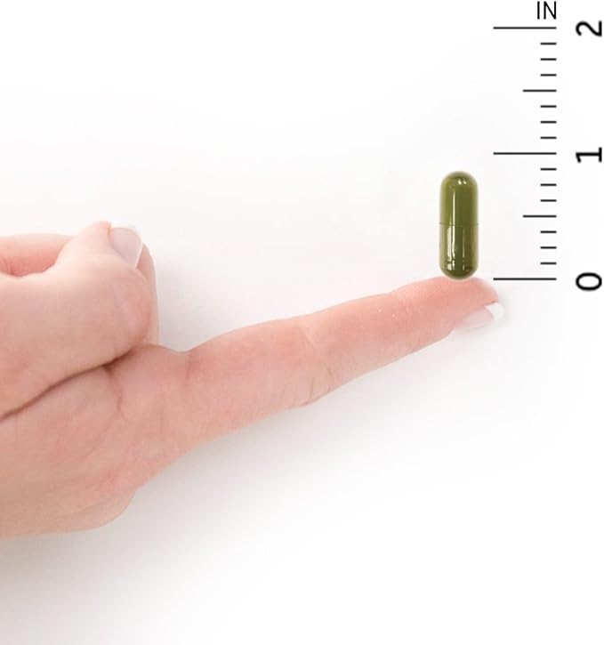 Garden of Life Vitamin D3 5000 IU, Raw Whole Food Supplements with Chlorella, Fruit, Veggies & Probiotics for Bone & Immune Health, 60 Vegetarian Capsules