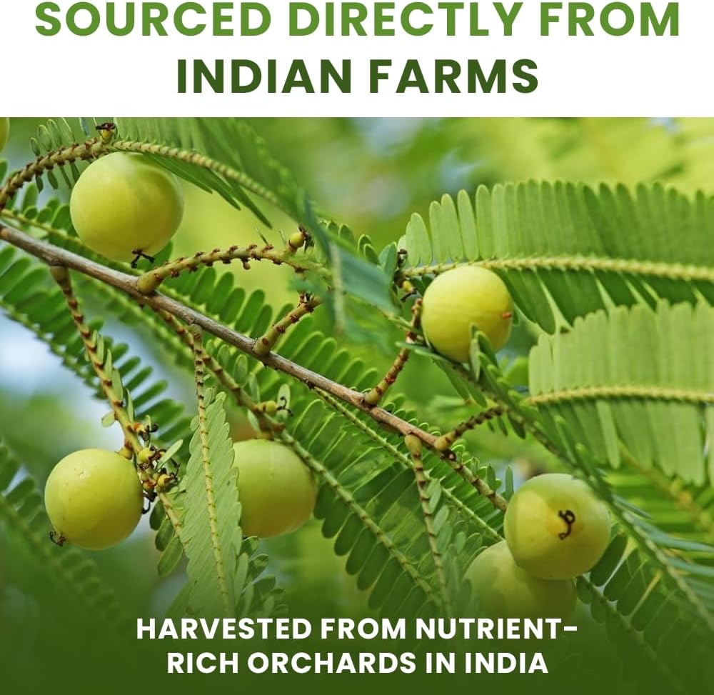 bixa BOTANICAL Amla Powder (Emblica officinalis),1 Pound (16 Oz) | Herbal Supplement Antioxidant & Immunity Booster