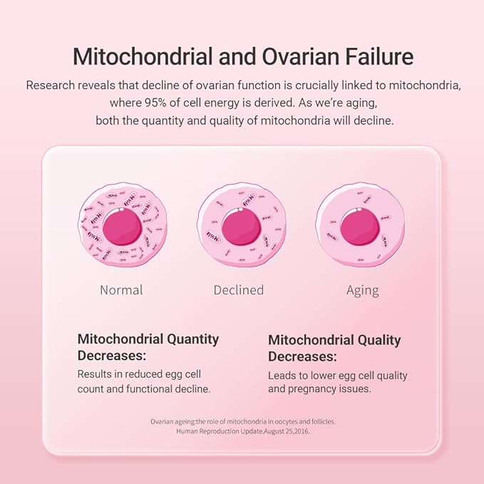 CELFULL Inositol Supplement,Myo-Inositol & D-Chiro Inositol Blend with NADH & PQQ and Folate - Ideal 40:1 Ratio - Hormone Balance & Healthy Ovarian Support for Women,Vitamin B8