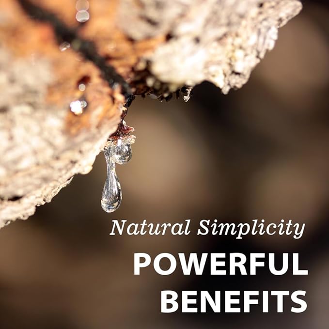 Vitamatic Mastic Gum 1000mg per Serving - Support Digestive Function, Gastrointestinal Health, Immune and Oral Wellness, 120 Capsules