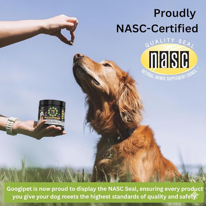 Googipet Premium Dog Multivitamin Chewable, Dog Vitamins and Supplements, Puppy Vitamins & Senior Dogs Probiotics for Gut Health + Vitamin C, Glucosamine for Dogs Joint Support (PB & Pumpkin Flavor)