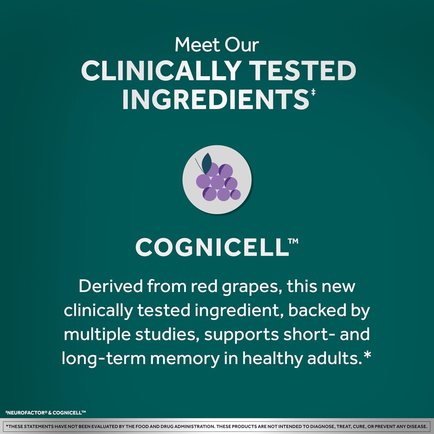 NEURIVA Memory 3D Brain Supplement - Nootropic Capsules for Memory, Focus & Cognitive Function - Short Term, Long Term, & Working Memory Support - 50ct - Pack of 2