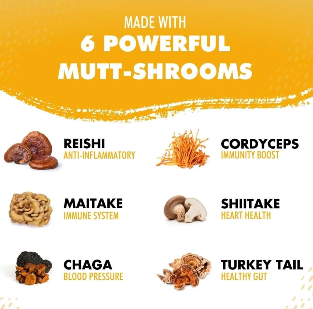 iHeartCats Bone Broth for Cats - Bone Broth & Mushroom Gold Powder Supplement for Immune System Support, Improved Mobility & Flexibility and Natural Detox - Turkey Tail Mushroom for Cats