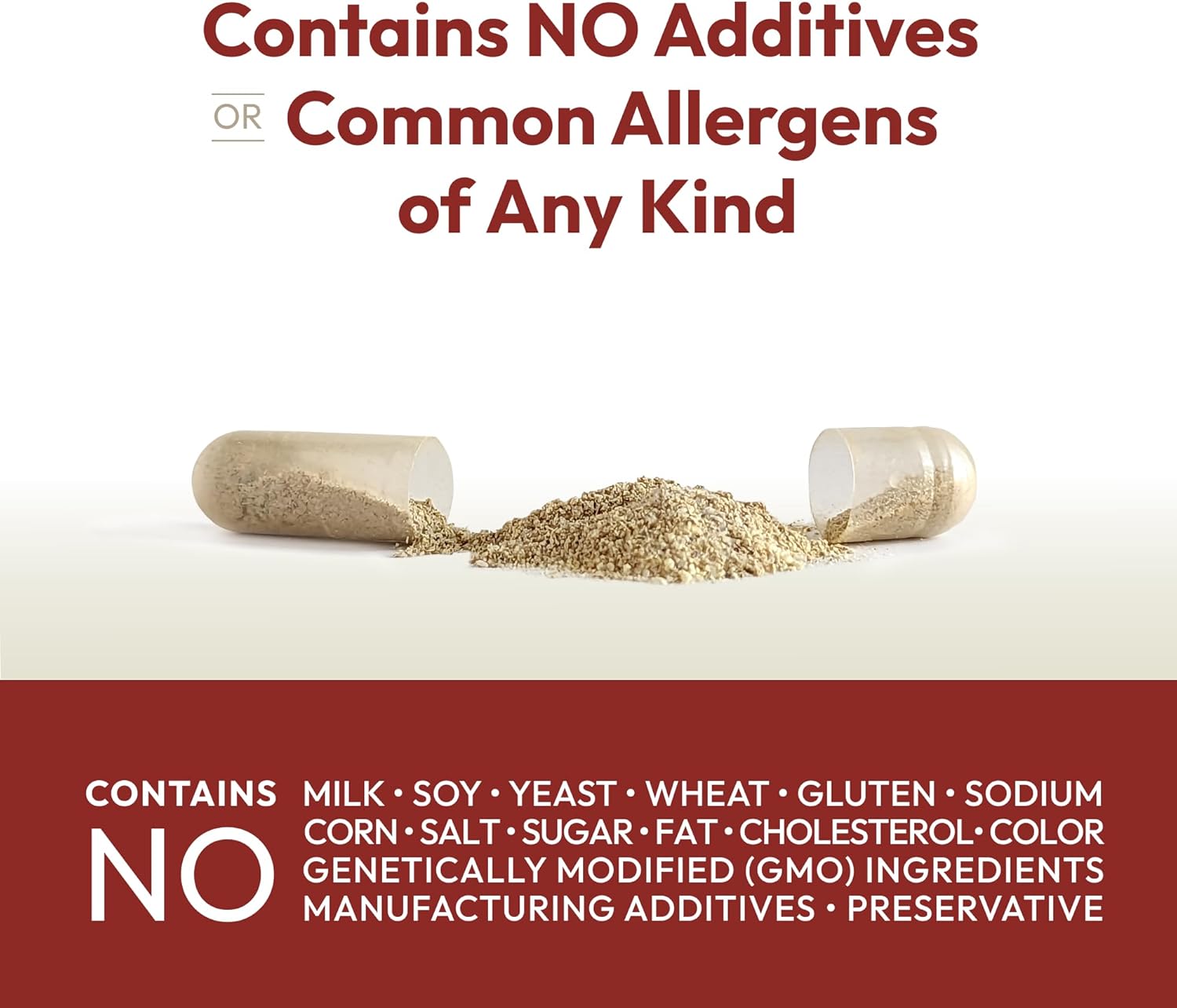 ANDREW LESSMAN Vitamin B12 500 180 Capsules - Absorption-Protected Methylcobalamin (Natural Coenzyme Vitamin B12), Essential for Energy and Stress Support, Plus B-Complex, Easy to Swallow Capsules