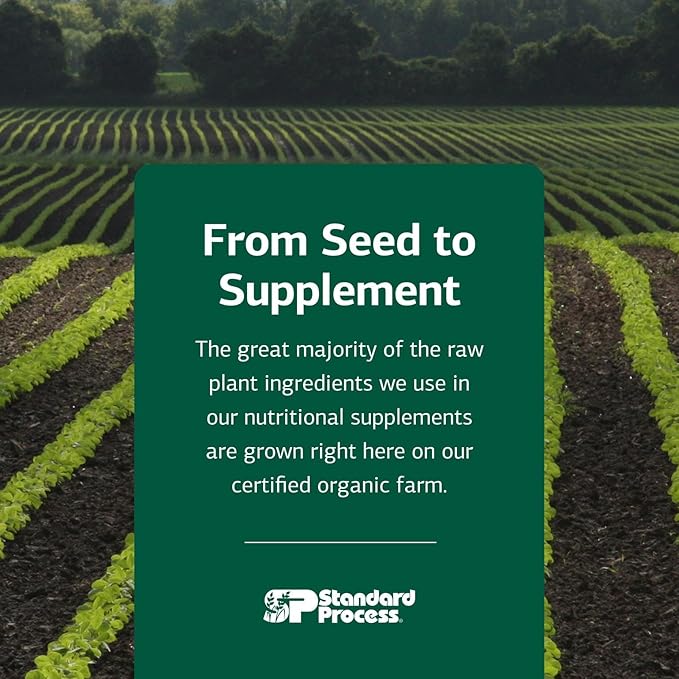 Standard Process Cataplex B2 Nervous System Health Dietary Supplement - Non-Dairy & Non-Soy - Brain Health Support - 360 Tablets