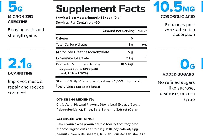 Legion Recharge Post Workout Supplement - All Natural Muscle Builder & Recovery Drink With Micronized Creatine Monohydrate. Naturally Sweetened & Flavored, Safe & Healthy. (Blue Raspberry, 60 Serving)