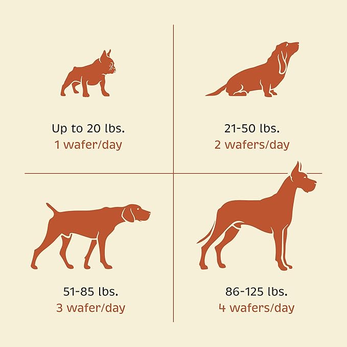 Spirited Paw Health + Vitality - Joint Health & Immune System Support - Healthy Heart & Coat Support - Multivitamin Pet Wellness Supplement - Liver-Flavored Dog Chews - 90 Chewable Wafers