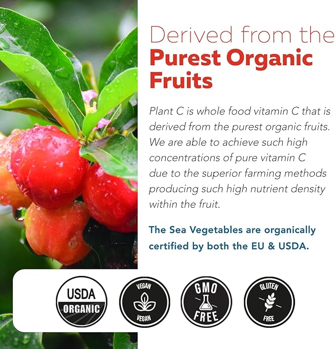 Organic Vitamin C | Whole Food Vitamin C from Fruit Plus Absorption Enhancing Cofactors - Vegan, Enhanced Bioavailability - Immune Support, Antioxidant, Total Health (90 Servings) - 3-Pack