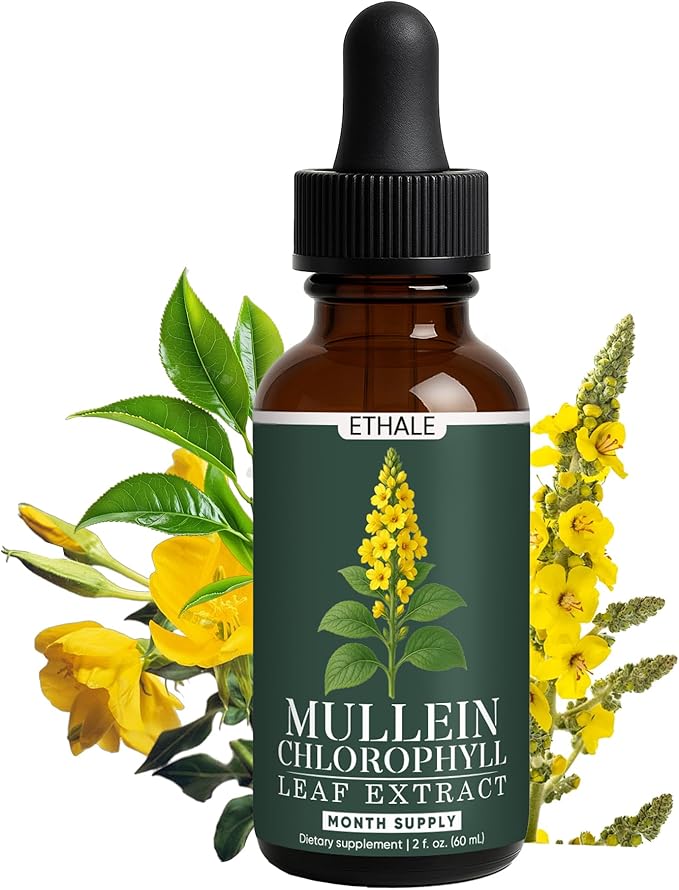 ETHALE Mullein Drops for Lungs - Mullein + Chlorophyll Lung Drops, Respiratory Support & Lung Detox Formula with Chlorophyll, Mullein Leaf Extract, 1 Month Supply