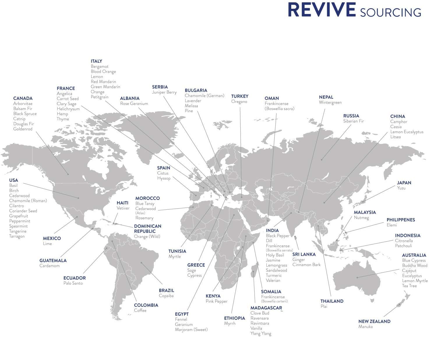 Frankincense Boswellia Carterii 10mL Essential Oil by Revive Essential Oils -100% Pure Therapeutic Grade, Diffusion, Massage, Aromatherapy, Skin & Hair Care, Cruelty Free, Unrefined with No Fillers