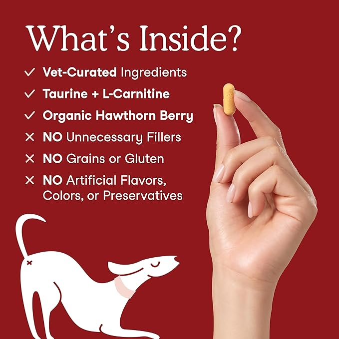 Fera Pets Cardiac Support - Cat & Dog Heart Supplement with Taurine, L-Carnitine, & CoQ10 - Promotes Normal Circulation and Heartbeat - 120 Capsules