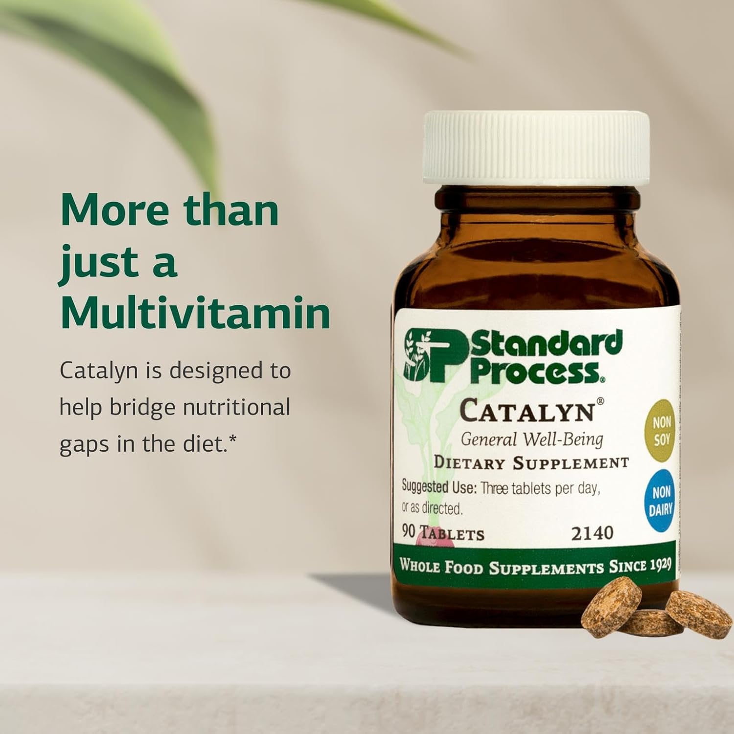 Standard Process Catalyn - Whole-Food Based Foundational Support for General Wellbeing with Vitamins D, C, A & B6, Thiamine, Riboflavin, Magnesium Citrate & More - 90 Tablets