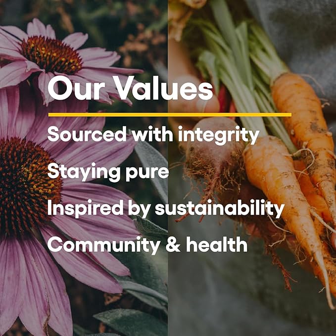 Natural Factors, Kids Chewable Vitamin C 500 mg, Supports Immune Health, Bones, Teeth and Gums, Tangy Orange, 180 Count (Pack of 1)