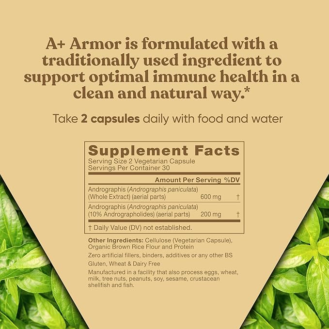 A+ Armor Andrographis Pure 800 Mg – Healthy Immune System Function, Physical Wellness, Potent Strength for Seasonal Protection – Full-Spectrum & Standardized – 60 Vegan Soft Capsules