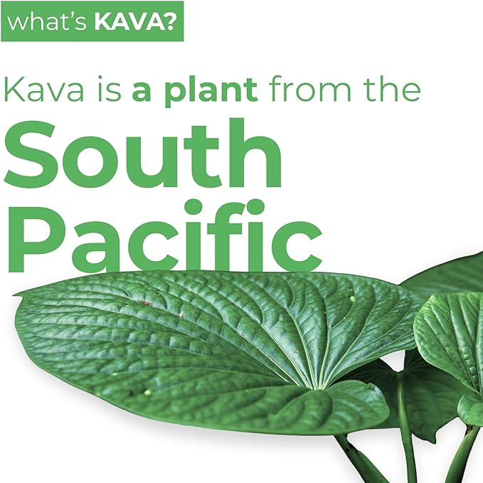 LEILO | Kava Powered Lime Margarita Mocktail Drink | Sugar-Free & Non-ALC Functional Relaxation Support | 12 fl oz Cans (Pack of 12)