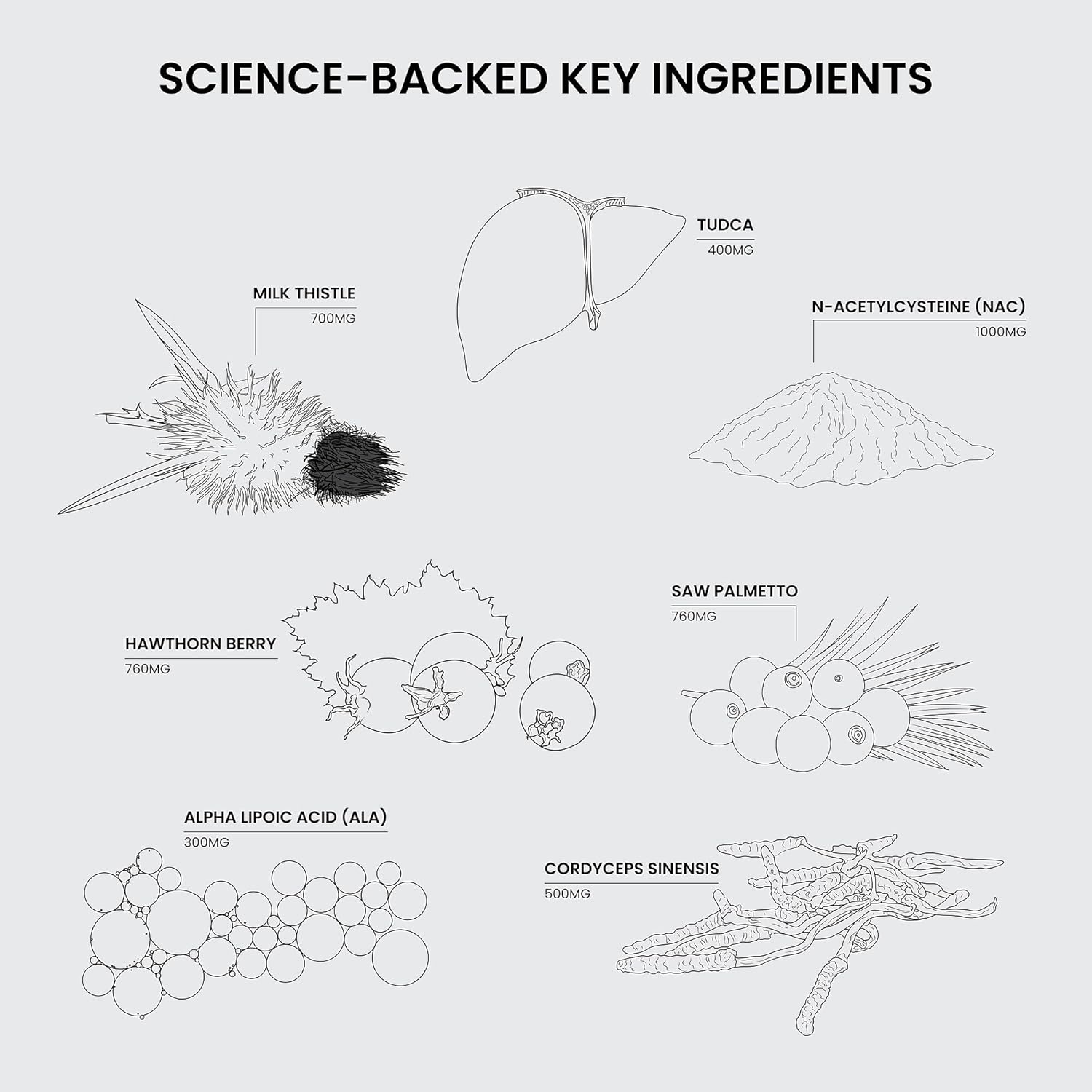 Nutriissa Cycle Support - Premium Kidney & Liver Detox - Organ Defense for Bodybuilders & Weightlifters - EPEB Certified for Purity & Potency - 400mg TUDCA & 1000mg NAC - Vegan, 240 Capsules