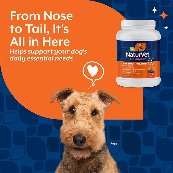 NaturVet All-in-One Dog Supplement - for Joint Support, Digestion, Skin, Coat Care – Dog Multivitamins with Minerals, Omega-3, 6, 9 – Wheat-Free Vitamins for Dogs – 240 Soft Chews
