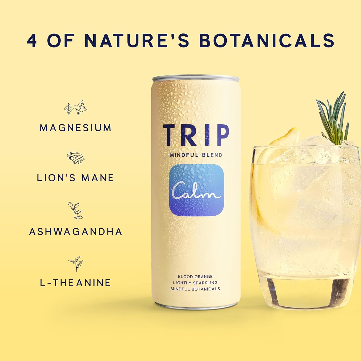 Trip Mindful Blend, Lightly Sparkling Calming Drink, 120 MG Magnesium Citrate with Ashwagandha, Lions Mane & L Theanine, No Added Sugar, Low Calorie, Vegan, Blood Orange, 12 Oz, 12Pk