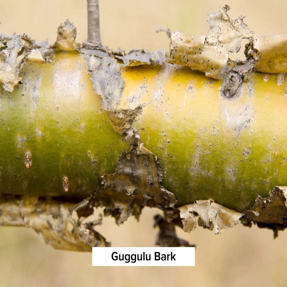 Banyan Botanicals Organic Kanchanar Guggulu Powder – Traditional Ayurvedic Guggulu Formula – Ayurvedic Herbs for Healthy Elimination of Natural Toxins* – ½ lb. – Non-GMO Sustainably Sourced Vegan