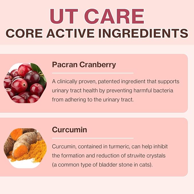 Doctor By UT Care Cat UTI Kidney Support Urinary Supplement Cranberry Treatment for Cats Renal Health with Pacran, Quercetin, Taurine lickable Formula Individually Packaged (1 Pack)