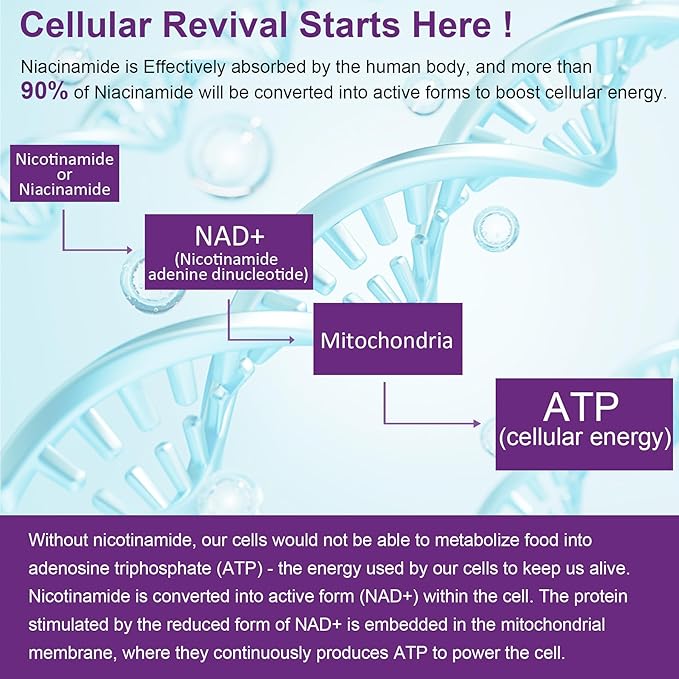 Nicotinamide 500mg Gummies, (Flush Free Niacin) Vitamin B3 Niacinamide Supplement for Cell Regeneration, NAD+ Levels, Anti-Aging, Cellular Energy, Focus & DNA Repair, Longevity, Sugar Free, 60Cts