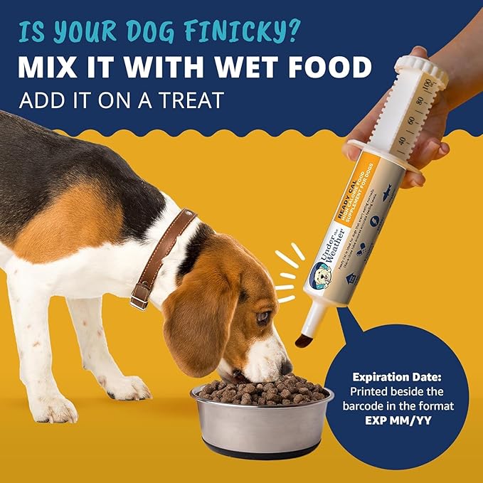 Under the Weather Pet | Ready Cal for Dogs 100cc | High Calorie Supplement | Dog Weight Gainer and High Calorie Booster | 10 Vitamins, 7 Minerals & Omega Fatty Acids (2 Pack)