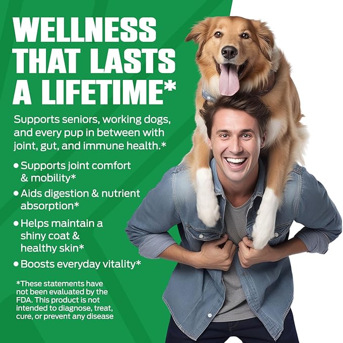 K10 Amino Acids for Dogs – All-in-One Cellular-Level Amino Acids Supplement for Joints, Muscles, Immunity, Digestion, Skin & Coat – Dog Supplement to Support Vitality, Strength, Recovery & Wellness