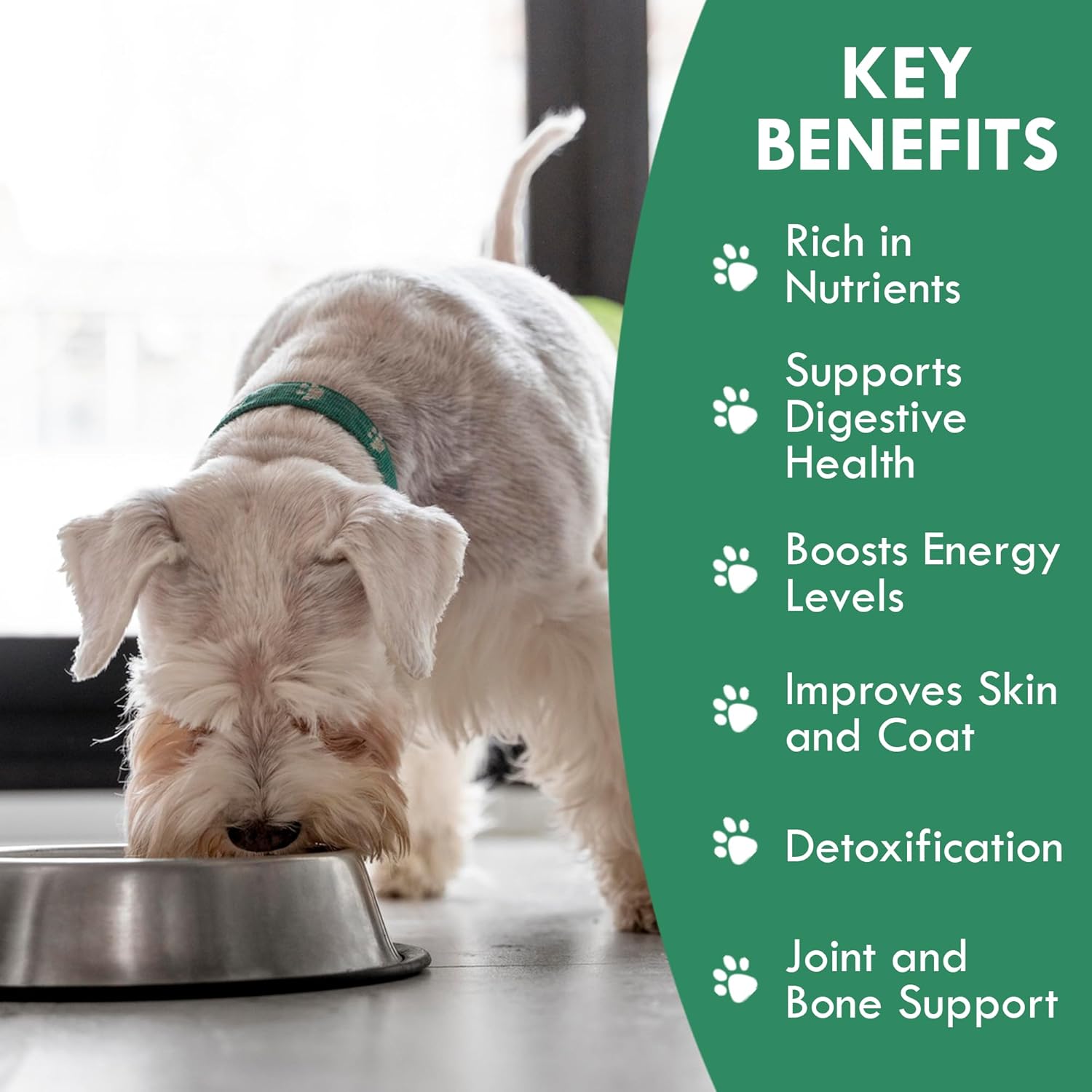 HOLISTIC BIN Canine Super Greens - Plant-Based Nutritional Dog Multivitamin - Essential Vitamins and Supplement for Dogs - Supports Skin, Coat, Bone Health, & Digestive Health for Pet Health (50g)