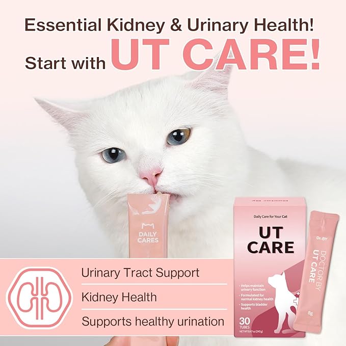 Doctor By UT Care Cat UTI Kidney Support Urinary Supplement Cranberry Treatment for Cats Renal Health with Pacran, Quercetin, Taurine lickable Formula Individually Packaged (1 Pack)