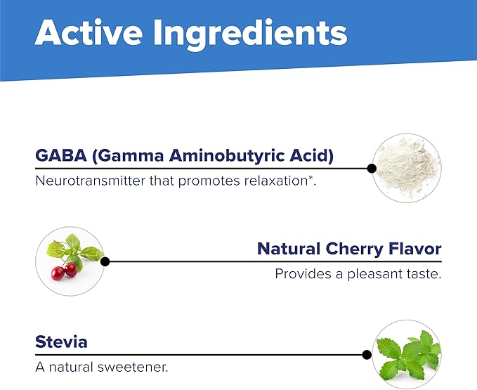 Superior Source GABA 100 mg - Brain & Nervous System Support Supplement - Gamma-Aminobutyric Acid Supplement Aids Healthy & Relaxed Sleep - Bariatric Friendly - 100 Sublingual Dissolving Tablets