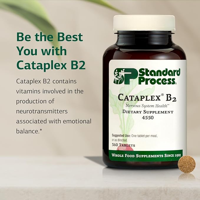 Standard Process Cataplex B2 Nervous System Health Dietary Supplement - Non-Dairy & Non-Soy - Brain Health Support - 360 Tablets
