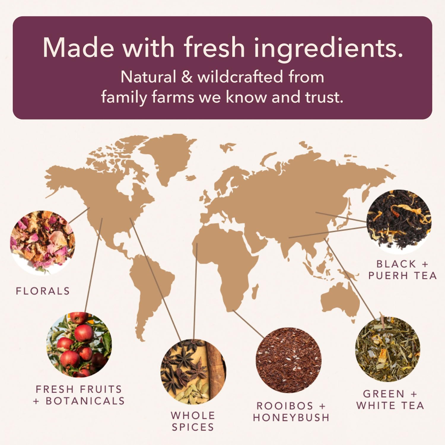 Pecan Black Loose Leaf Tea – Whole Leaf Blend with Pecan Essence and Cinnamon – Caffeinated – No Sweeteners or Artificial Flavors – 60 to 80 Cups – Small Batch USA – Plum Deluxe