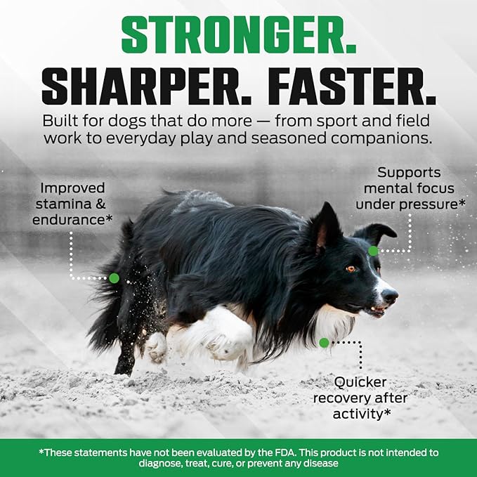 K10 Amino Acids for Dogs – All-in-One Cellular-Level Amino Acids Supplement for Joints, Muscles, Immunity, Digestion, Skin & Coat – Dog Supplement to Support Vitality, Strength, Recovery & Wellness