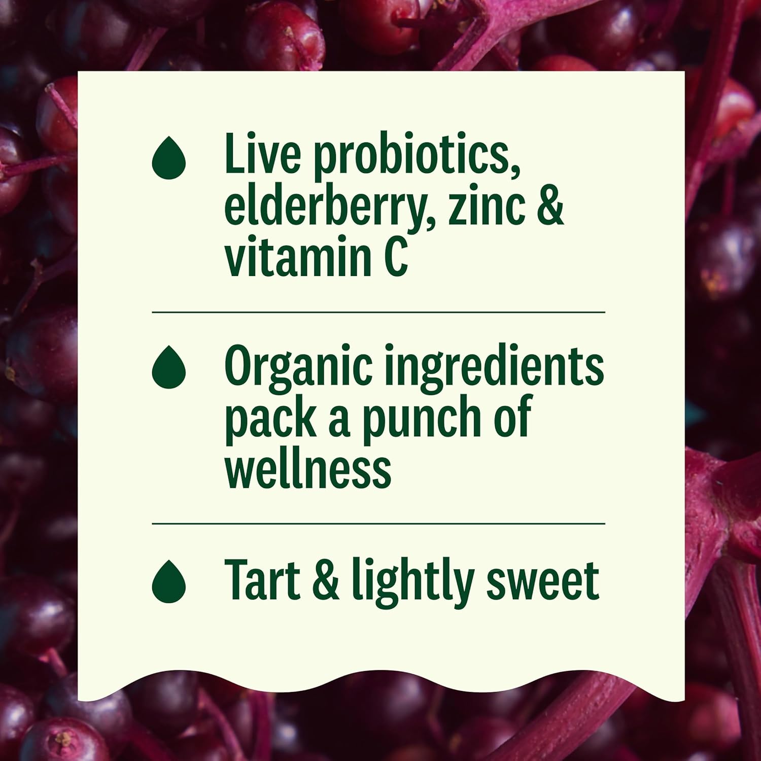 Suja Organic Immunity Elderberry Shot (90 Pack) with Turmeric and Ginger | Immunity Boost & Support | Functional Shots | Cold-Pressed Juice with Live Probiotics | Plant-Based & Gluten-Free