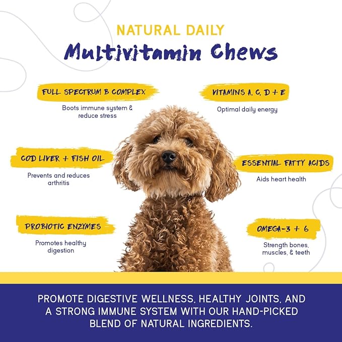 PupGrade Daily Multivitamin for Dogs - All-in-One Supplement for Digestive, Immune, Skin and Coat Health - Probiotic Enzymes, Omega Fish Oil, Vitamins A, C, D & E – 90 Soft Chews