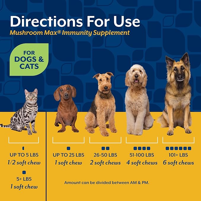 NaturVet Mushroom Max Advanced Immune Support Dog Supplement – Helps Strengthen Immunity, Overall Health for Dogs – Includes Shitake Mushrooms, Reishi, Turkey Tail – 60 Ct.