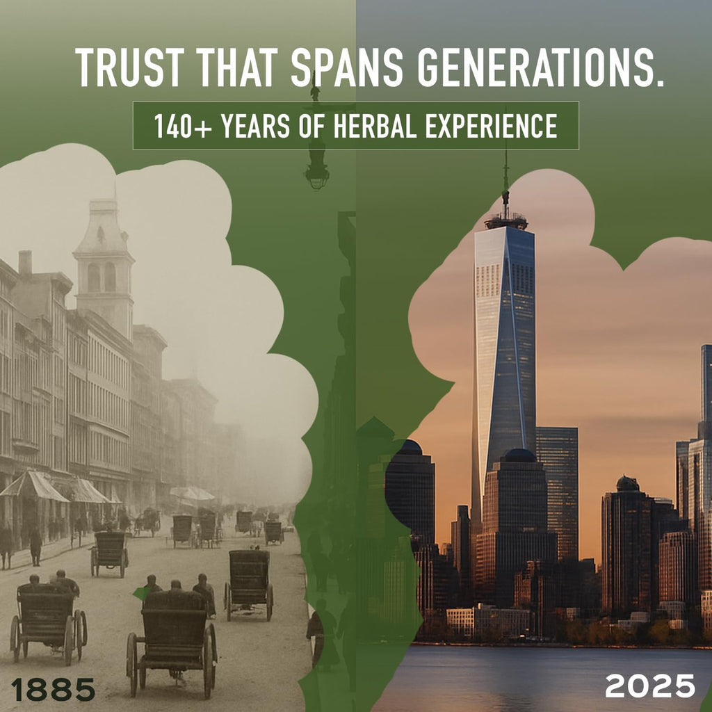 bixa BOTANICAL | Amalaki Amla Berries Powder | Indian Gooseberry | Rich in Natural Vitamin C | Non GMO | Gluten Free | No Preservatives | Skin Glow and Hair Strength Support | 7 oz 200 g