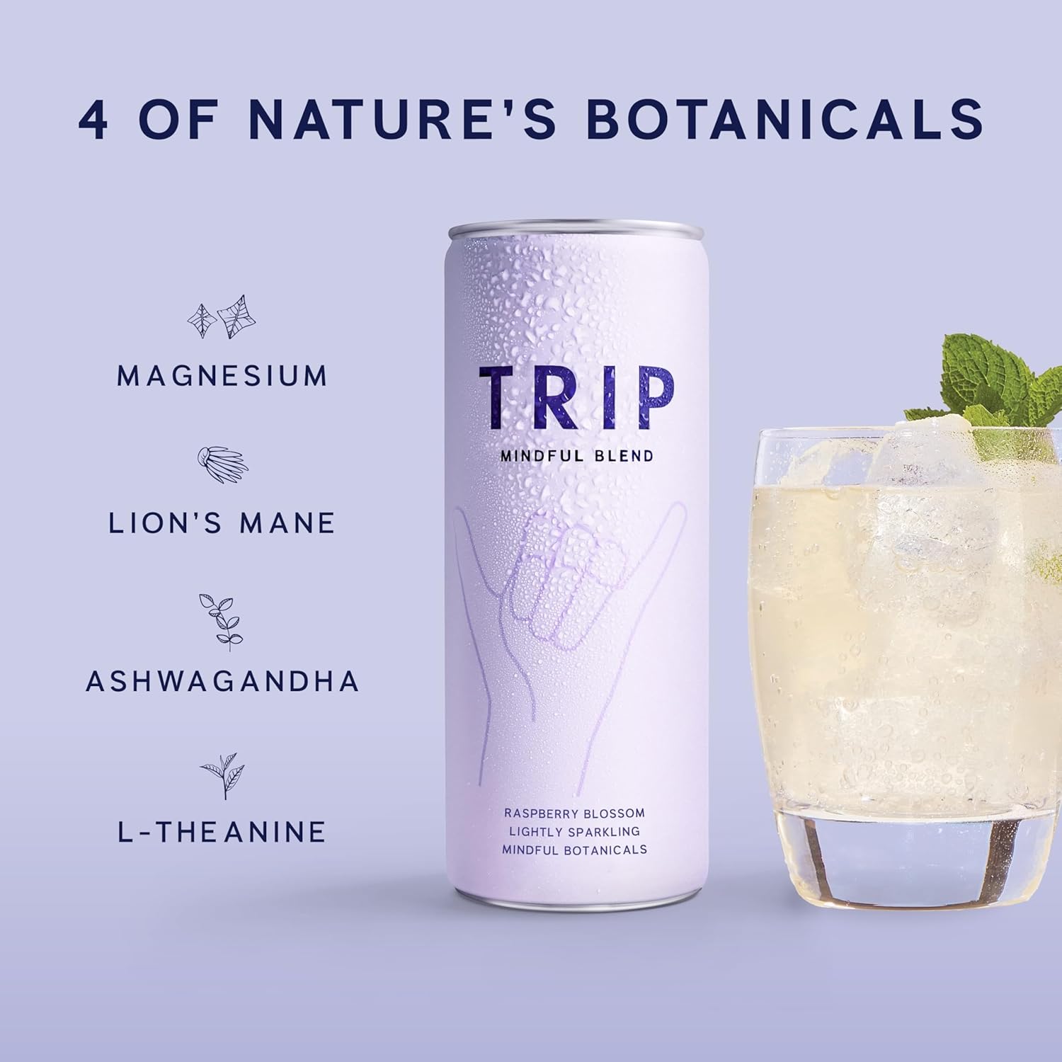 Trip Mindful Blend, Lightly Sparkling Adaptogen Seltzer, Mocktail w/ 120mg Magnesium Citrate with Ashwagandha, Lions Mane & L Theanine, No Added Sugar, Vegan, Raspberry Blossom, 12 Oz, 12Pk