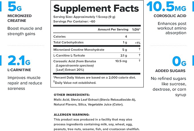 LEGION Athletics Recharge Post Workout Supplement - All Natural Muscle Builder & Recovery Drink with Creatine Monohydrate. Naturally Sweetened & Flavored, Safe & Healthy (Watermelon, 60 Servings)