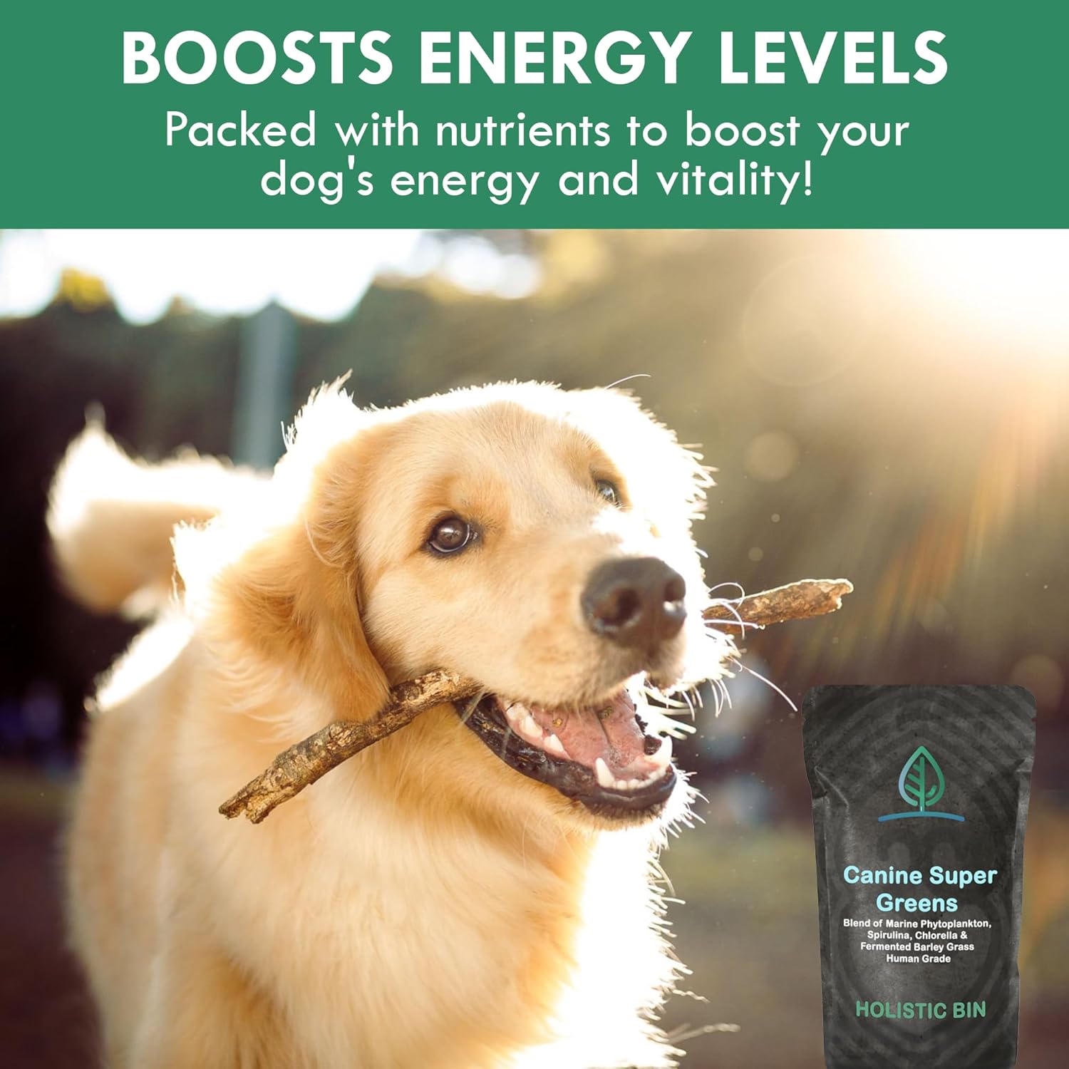 HOLISTIC BIN Canine Super Greens - Plant-Based Nutritional Dog Multivitamin - Essential Vitamins and Supplement for Dogs - Supports Skin, Coat, Bone Health, & Digestive Health for Pet Health (50g)