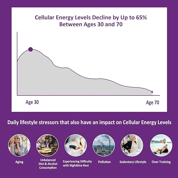 Nicotinamide 500mg Gummies, (Flush Free Niacin) Vitamin B3 Niacinamide Supplement for Cell Regeneration, NAD+ Levels, Anti-Aging, Cellular Energy, Focus & DNA Repair, Longevity, Sugar Free, 60Cts
