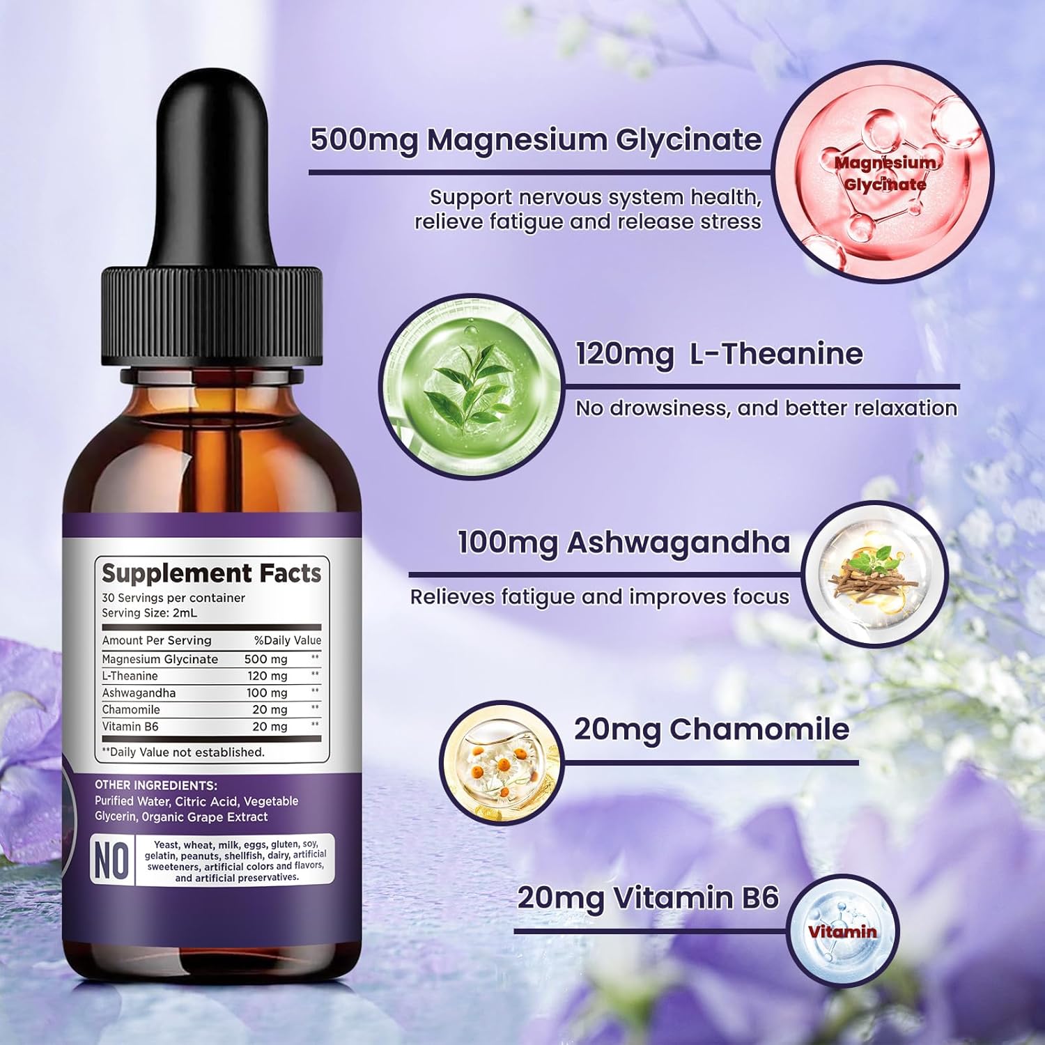 (2 Pack) Magnesium Glycinate Liquid Drops 500mg, with Vitamin B6, Ashwagandha, L - Theanine, Chamomile, Magnesium Glycinate Supplement High Absorption for Sleep, Stress, Energy Mood - Grape Flavor