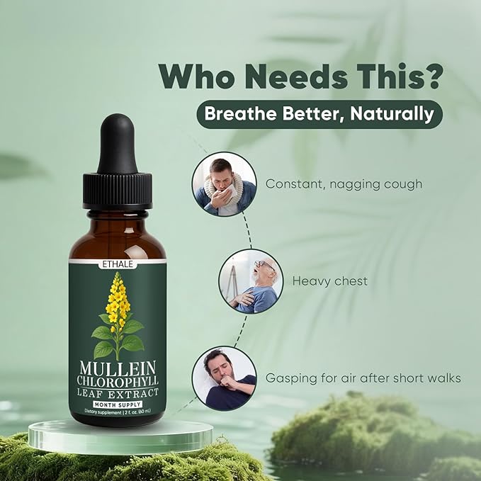 ETHALE Mullein Drops for Lungs - Mullein + Chlorophyll Lung Drops, Respiratory Support & Lung Detox Formula with Chlorophyll, Mullein Leaf Extract, 1 Month Supply